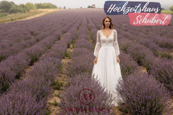 Brautmode Berlin & Brandenburg - günstige Brautkleider 512 Brautkleider-Berlin-Hochzeitshaus-Schubert-Monica-Loretti-Angela-Bianca-1060d_result