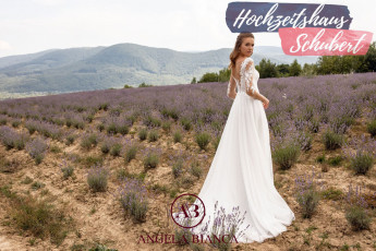 Brautmode Berlin & Brandenburg - günstige Brautkleider 620 Brautkleider-Berlin-Hochzeitshaus-Schubert-Monica-Loretti-Angela-Bianca-1065d_result